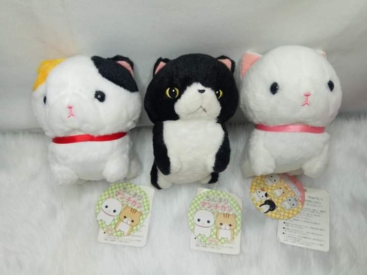 Amuse Chinmari Munchkin Cat plush (Category: Plushies & Soft Toys) located in Navotas City. Submitted by tindahan.ni.lyn (Listing ID 1224919494, Image 1). Description: Adopt this 3 cutiee munchkins😍.