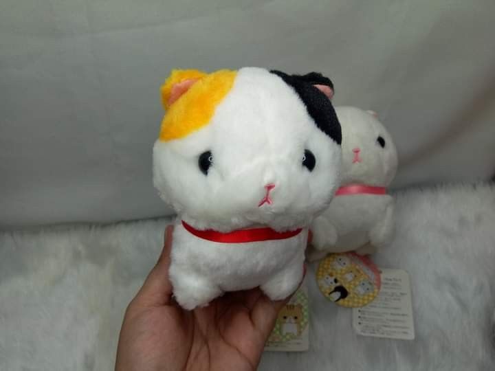 Amuse Chinmari Munchkin Cat plush (Category: Plushies & Soft Toys) located in Navotas City. Submitted by tindahan.ni.lyn (Listing ID 1224919494, Image 2). Description: Adopt this 3 cutiee munchkins😍.