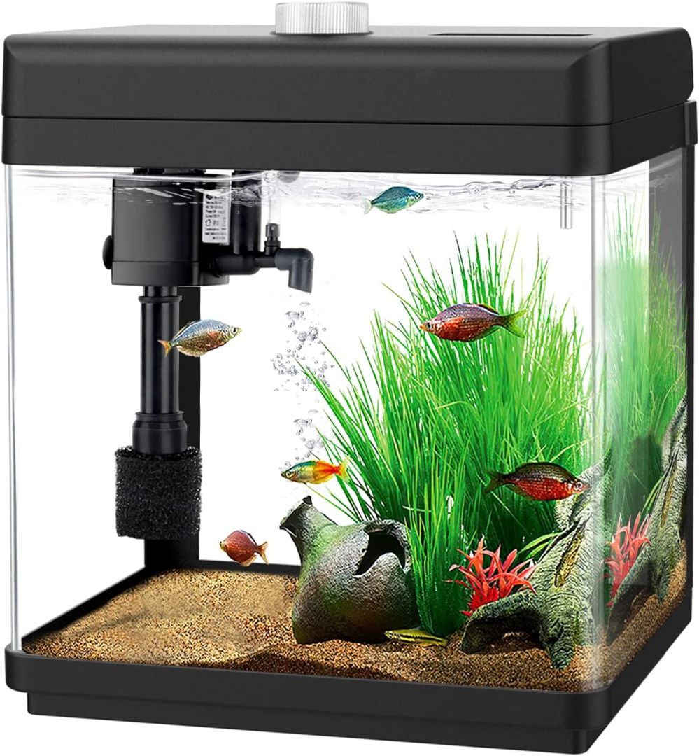 15 gallon store aquarium kit