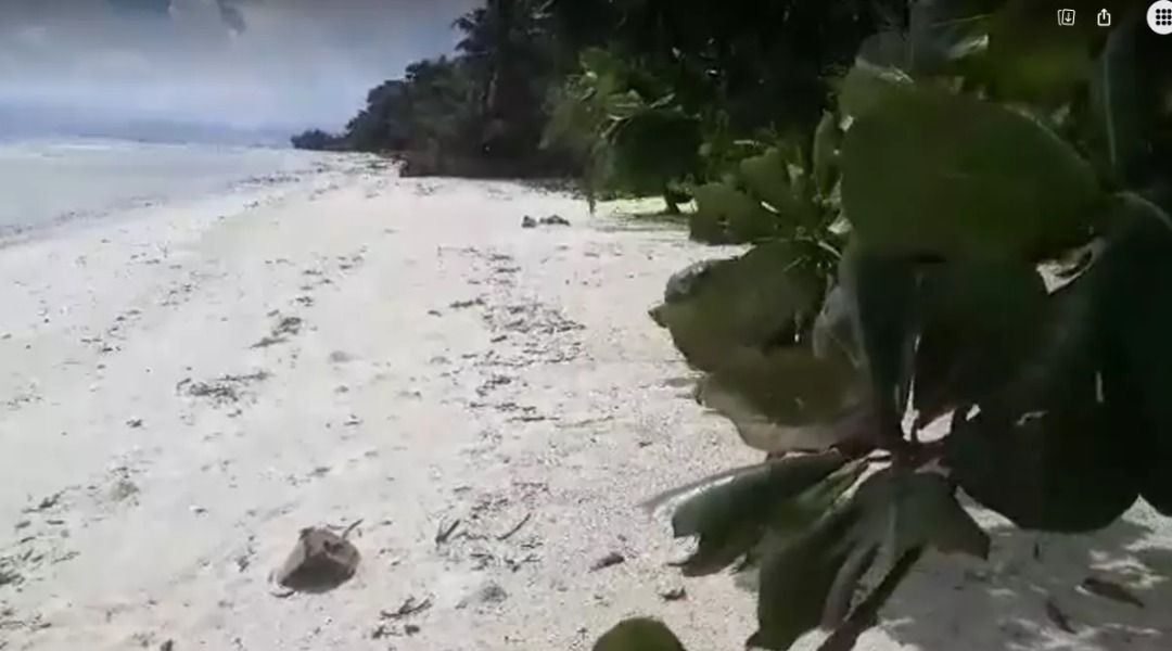 Beach lot for sale 1,428 sqm clean title Anda Bohol Philippines 18k/sqm