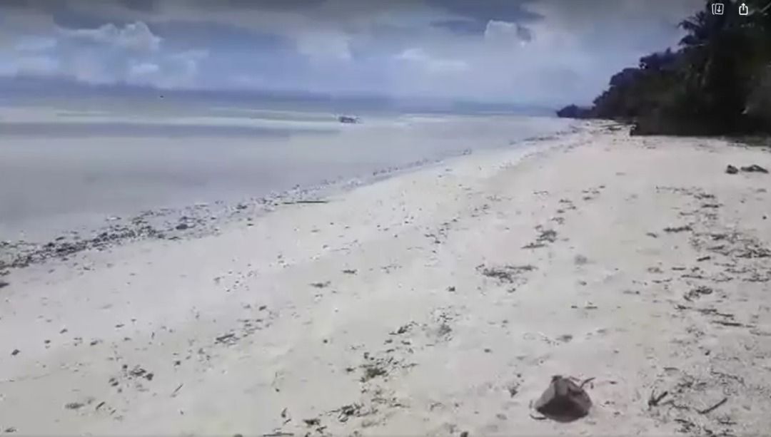 Beach lot for sale 1,428 sqm clean title Anda Bohol Philippines 18k/sqm