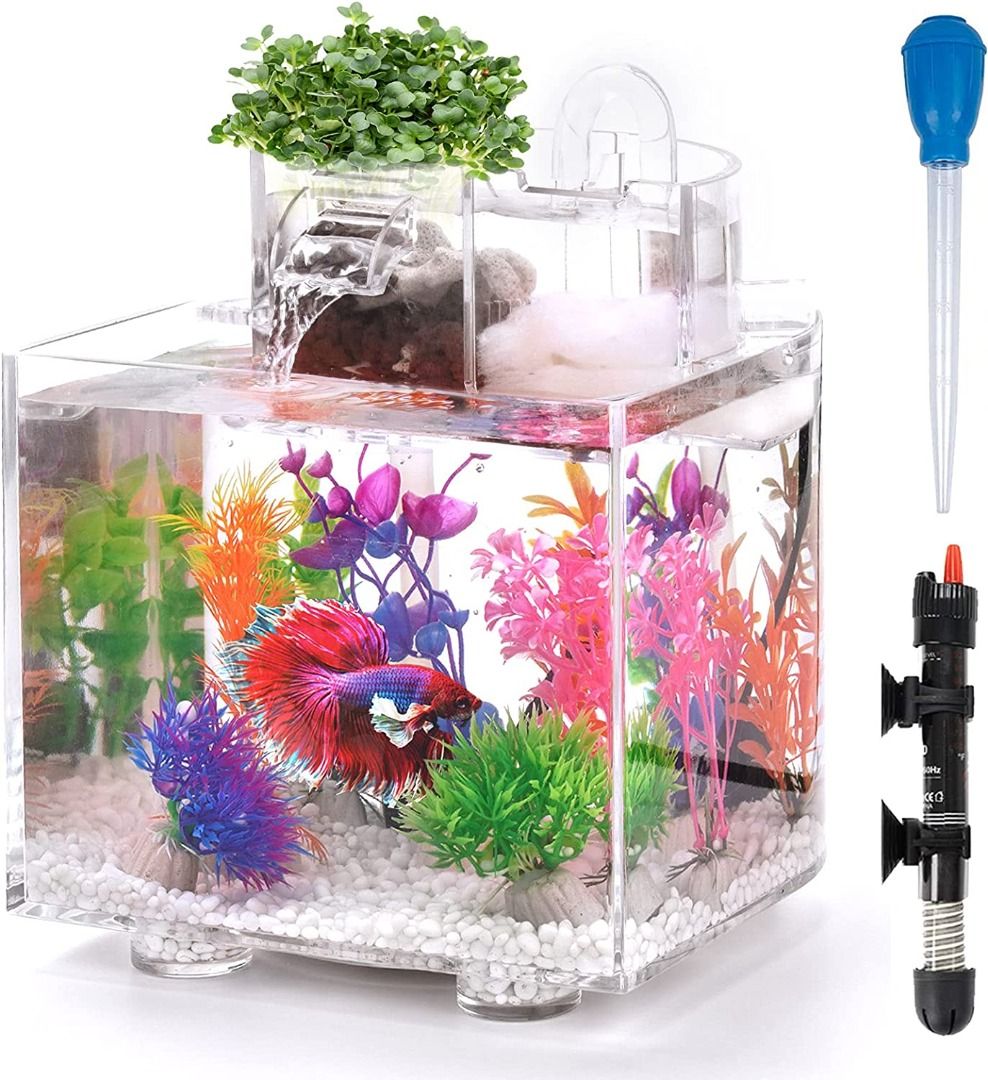 Betta Fish Tank, 1.6 Gallon Aquarium, Upgrade Hydroponics Growing