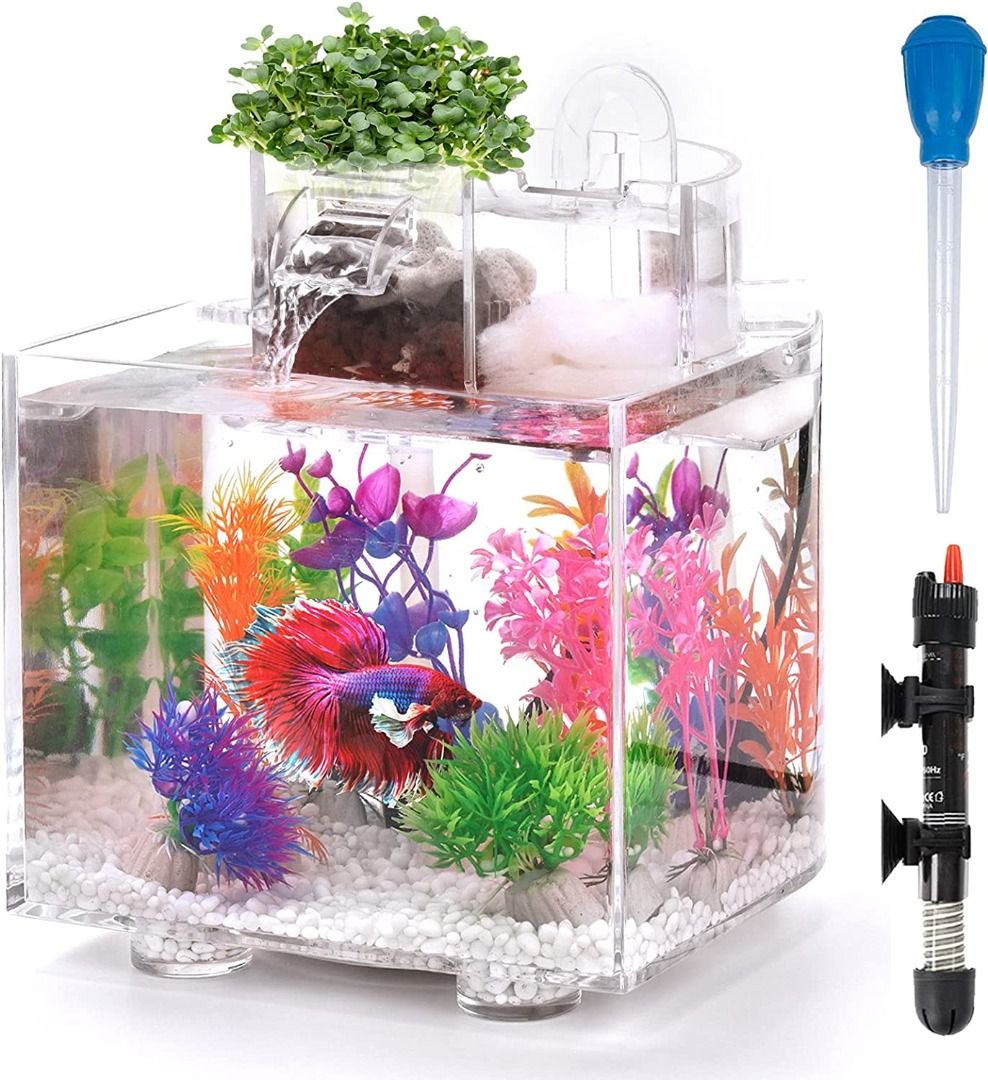 Plant for betta fish bowl hot sale