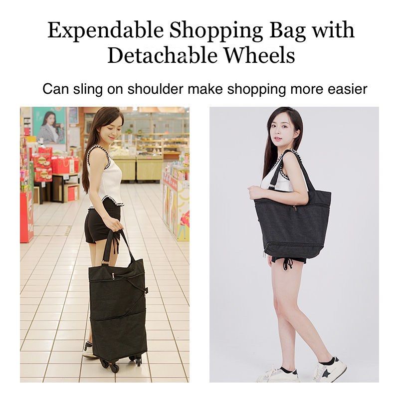 Expandable shopping best sale bag with wheels