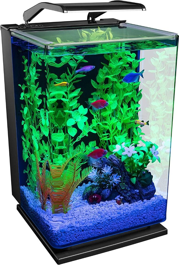 GloFish Aquarium Kit Fish Tank with LED Lighting and Filtration