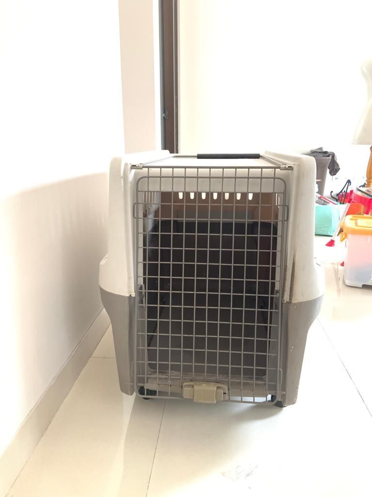 Pet Cargo Carrier Jumbo on Carousell