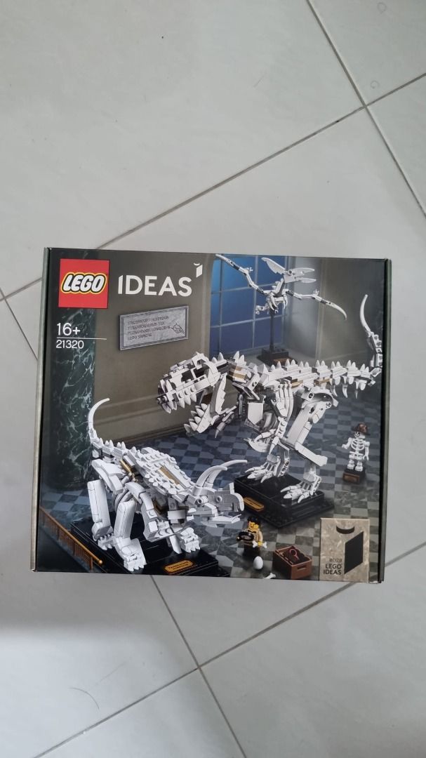 Lego IDEAS 21320, Hobbies & Toys, Toys & Games on Carousell