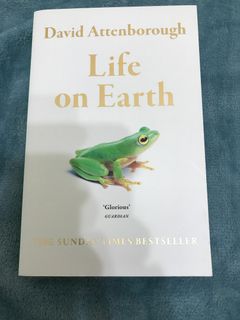 由 FuFuder (刊登 ID 1224980502，圖片 1) 提交，位於 的 (類別：)，說明：。
