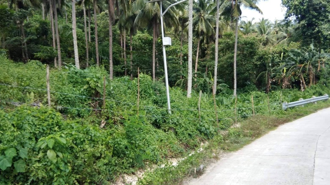 Lot for sale 8.6 hectares with coconut, flowing water titled few
