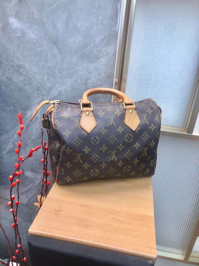 Lv speed 25 handbag