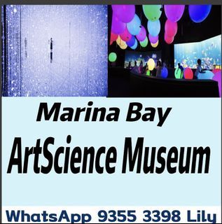 Marina Bay ArtScience  Future World