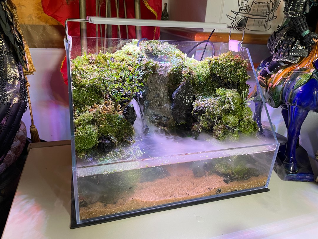 Waterfall aquarium hotsell