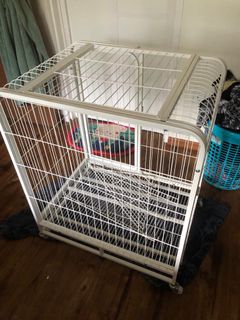 (Category: ) located in . Submitted by duderock (Listing ID 1224970746, Image 1). Description: .