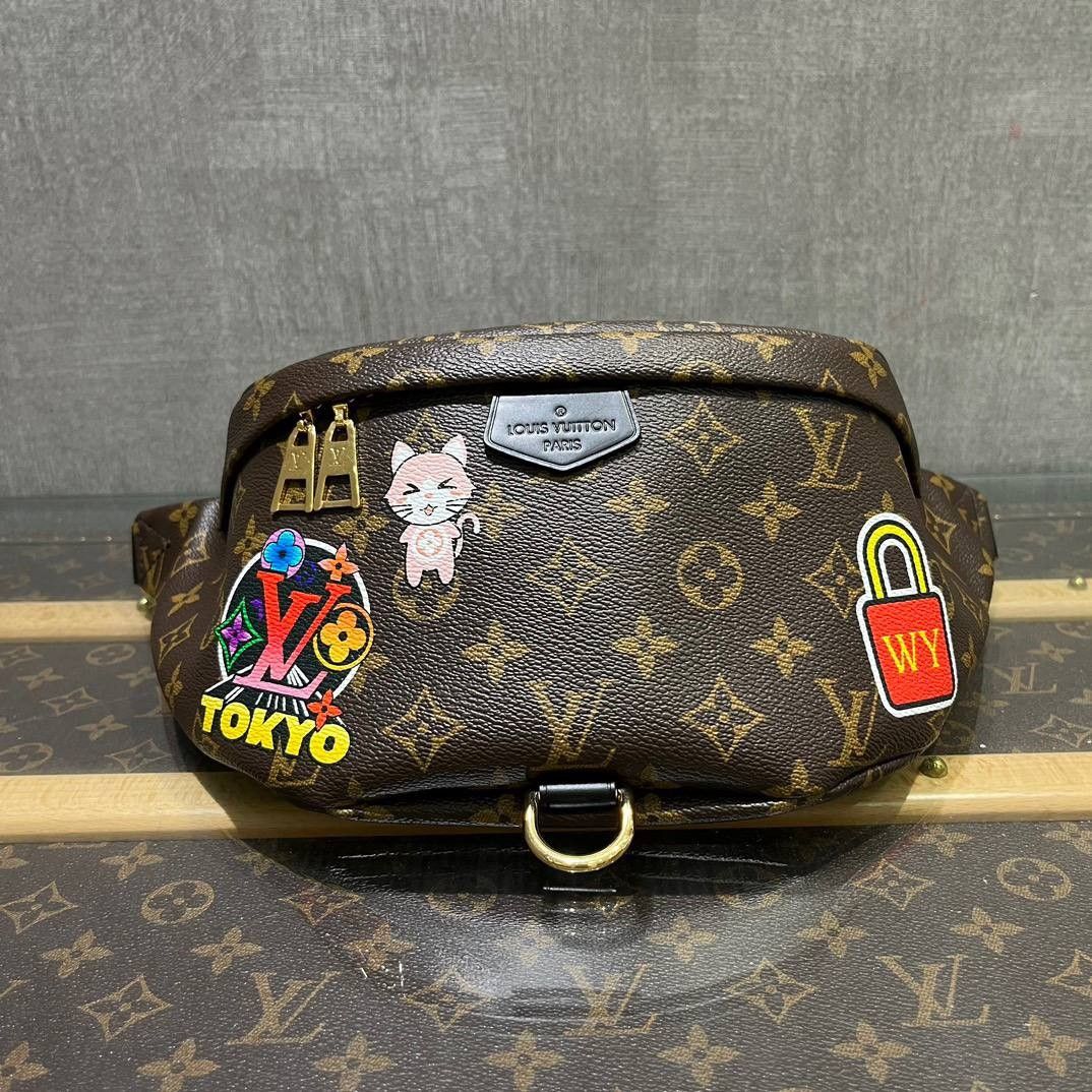 LV bumbag organizer, Women's Fashion, Bags & Wallets, Purses & Pouches on  Carousell