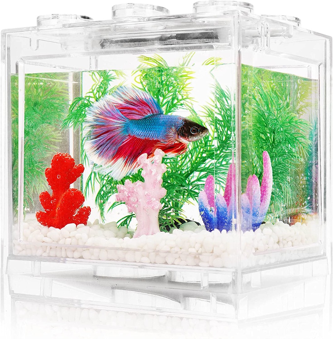 Small Betta Fish Tank, Aquarium Tank Kit with LED Lighting, 3/5 Gallon