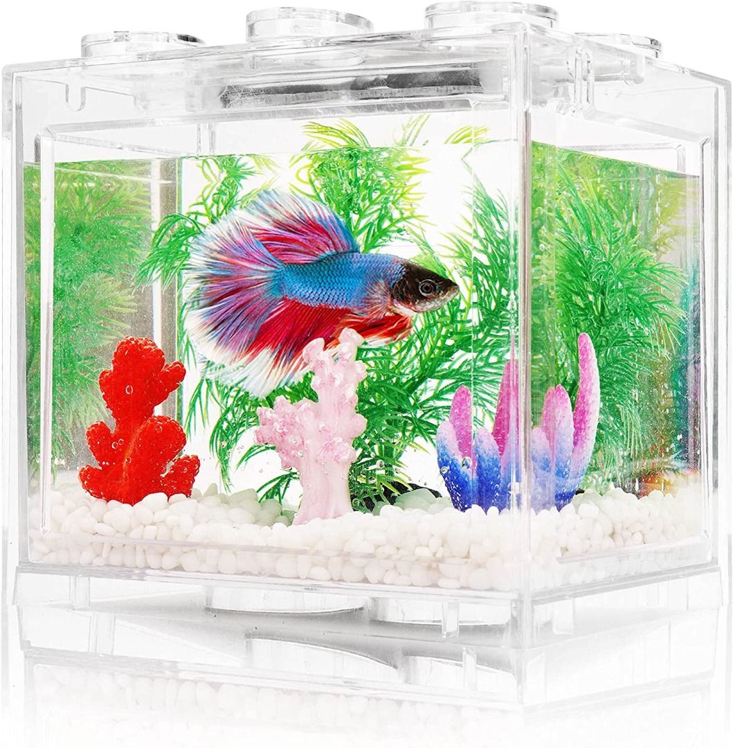 Small Betta Fish Tank, Aquarium Tank Kit with LED Lighting, 3/5 Gallon  Stackable Beta Fish Tank Set, Fish Bowl Accessories for Turtle Reptile  Shrimp Moss Crab Insects Habitat as Decoration, Pet Supplies