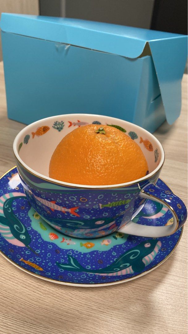 Blue on White Porcelain Teacup and Saucer Set Bone China Jumbo Tea Cup 15  fl oz