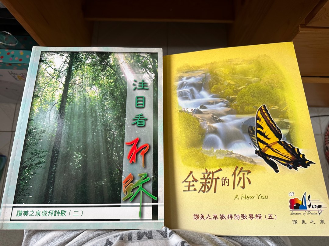 讚美之泉歌集（注目看耶穌/全新的你）, 興趣及遊戲, 書本 & 文具, 書本及雜誌 - 宗教書藉 - Carousell