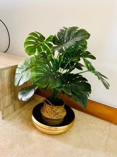 (Category: ) located in . Submitted by sruthichandalada (Listing ID 1225177594, Image 1). Description: .