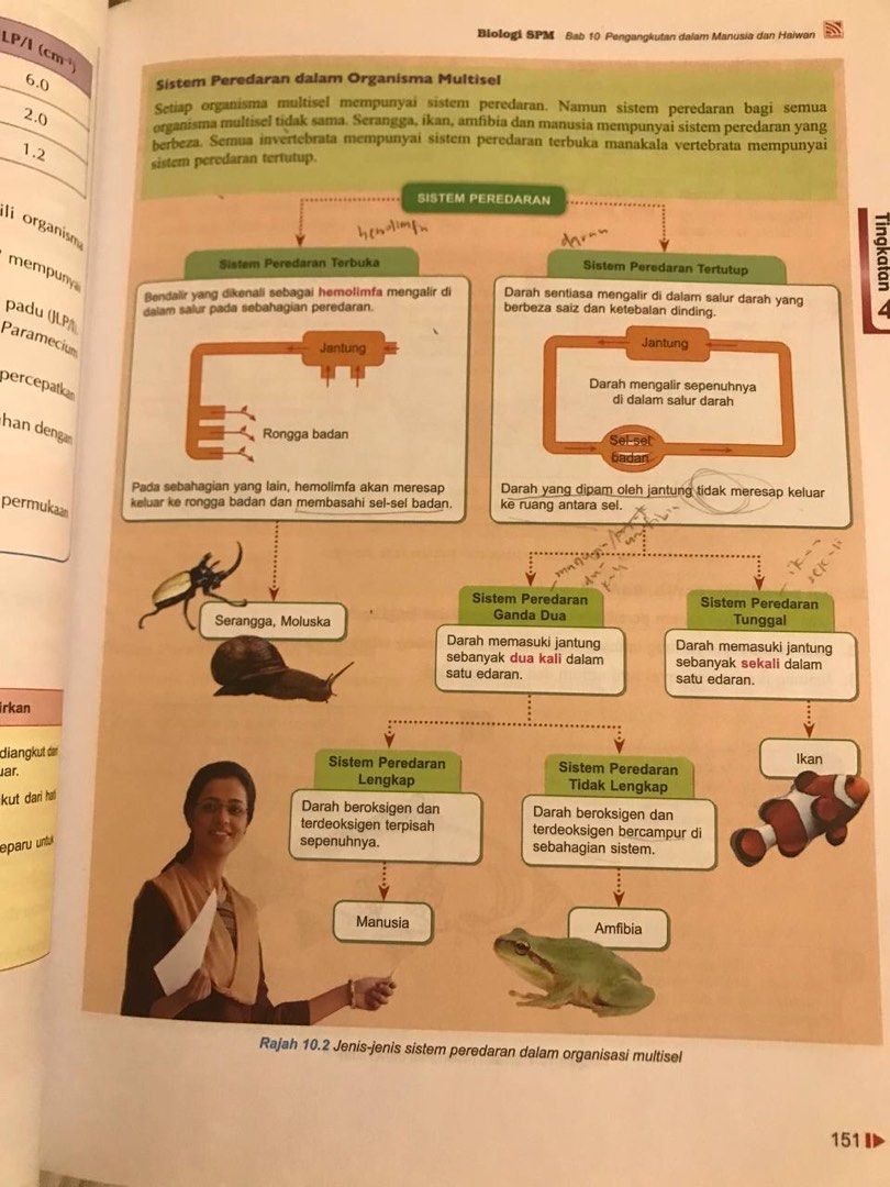 (PRICE INC POSTAGE) BIOLOGI KSSM TINGKATAN 4, Hobbies & Toys, Books ...