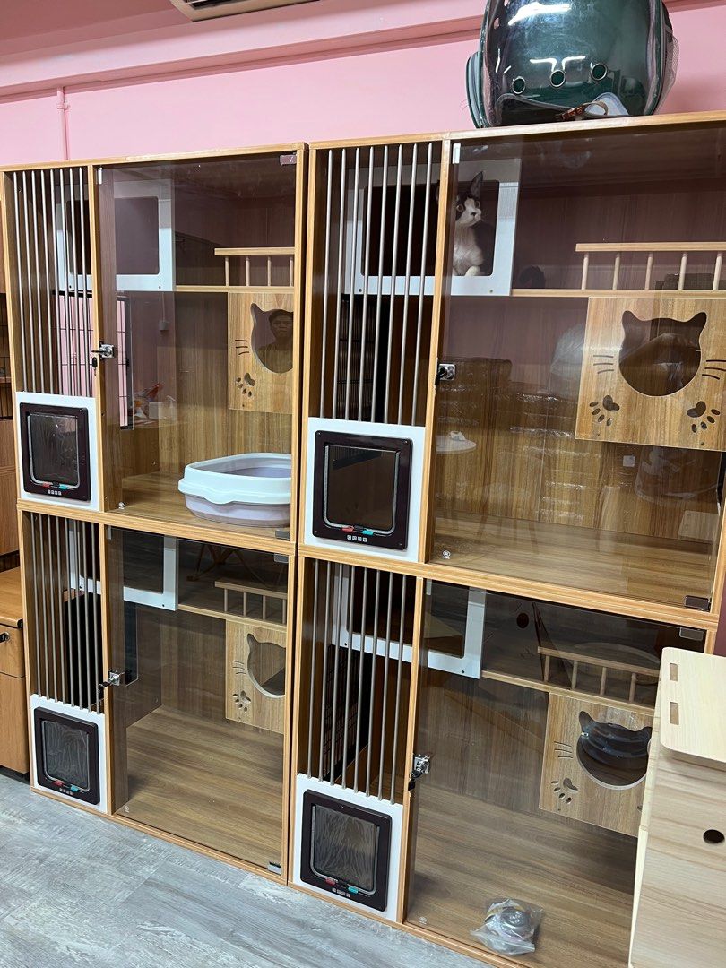 Cat on sale boarding enclosures