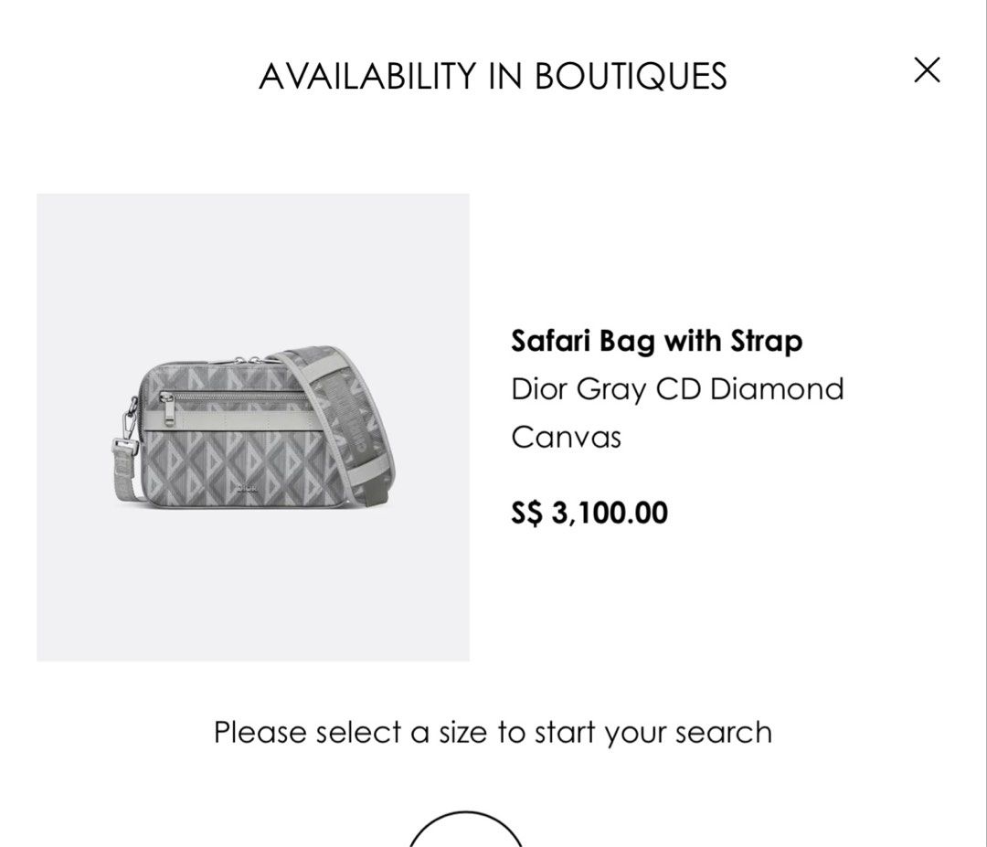 Safari Bag with Strap Dior Gray CD Diamond Canvas