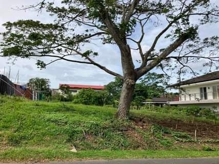 For Sale: Residential Vacant Lot in Plantation Hills, The Greenland Tagaytay, 11.37M (Category: Apartments & Condos) located in Taguig. Submitted by imatchrealty_keel (Listing ID 1164130680, Image 2). Description: Residential Vacant Lot in Plantation Hills, The Greenland Tagaytay, 11.37M ✅Property Code: 8823 ✅Location: The Greenlands at Plantation Hills, Tagaytay Cavite ✅Lot Area: 758sqm ✅Property Price/sqm: 15,000 per sqm ✅CGT is not included Un