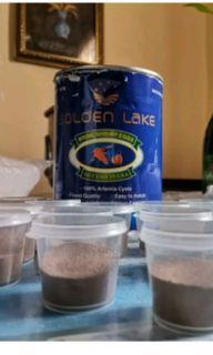 GOLDEN LAKE BRINE SHRIMP EGGS per 10grams