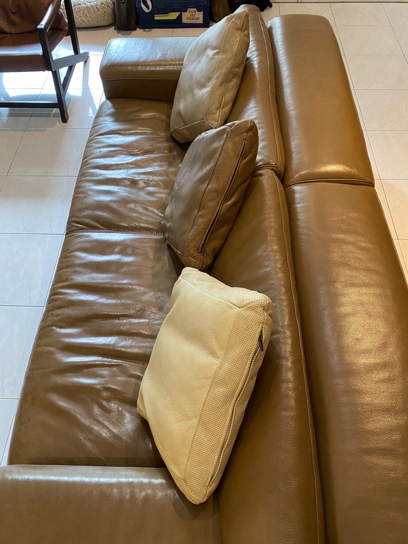 Kelvin Giormani genuine luxury leather sofa, Furniture & Home Living