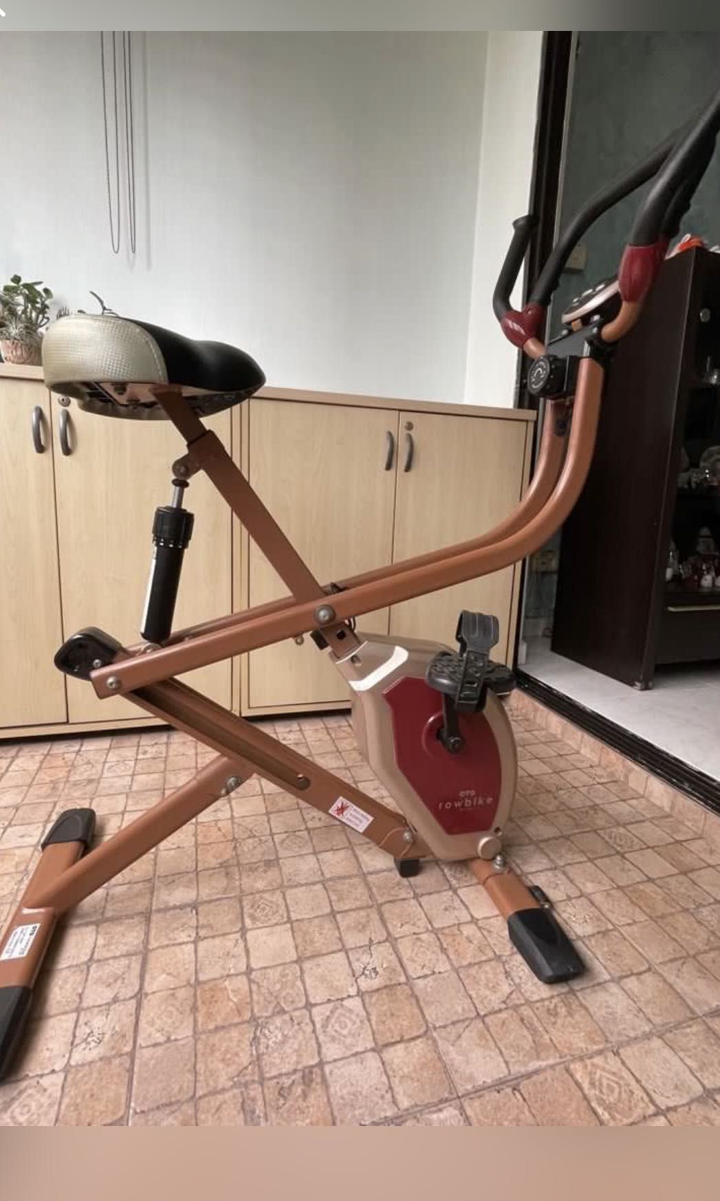 rb1000 exercise bike