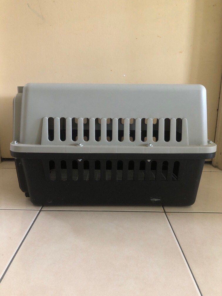 Pet carrier Bekas kucing Sangkar kucing, Pet Supplies, Homes & Other Pet Accessories on Carousell
