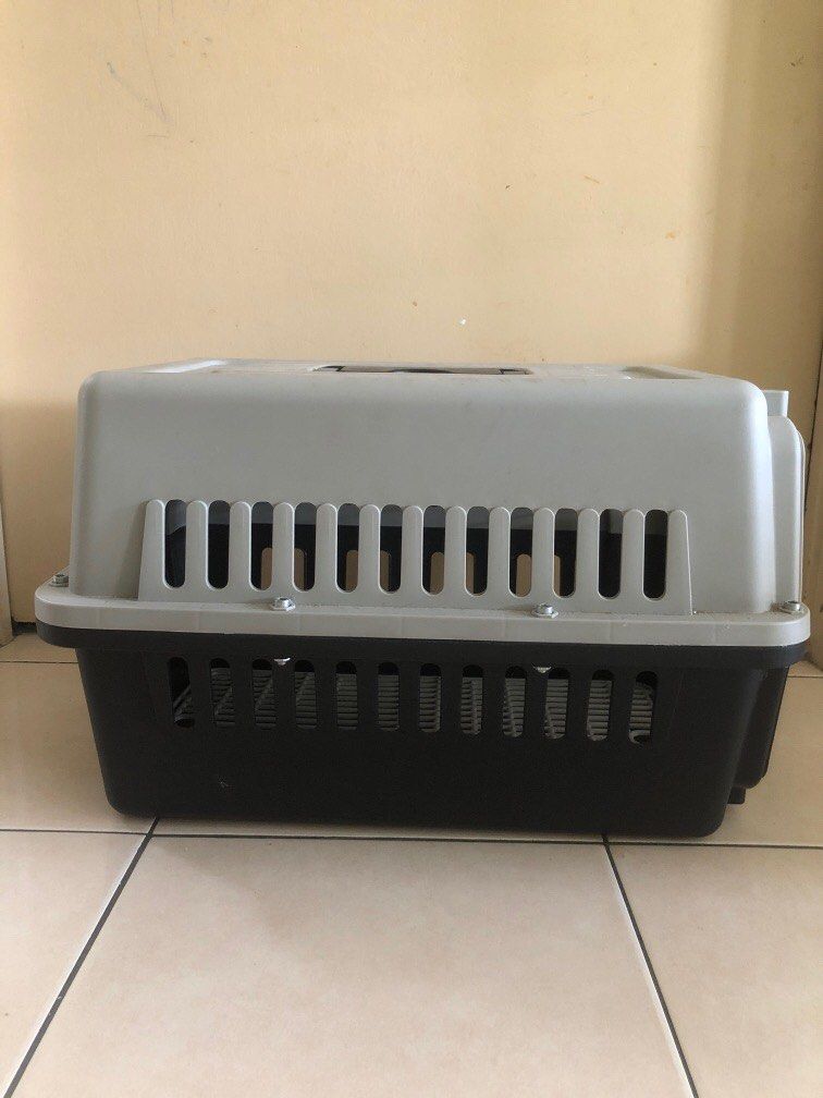 Pet carrier Bekas kucing Sangkar kucing, Pet Supplies, Homes & Other Pet Accessories on Carousell