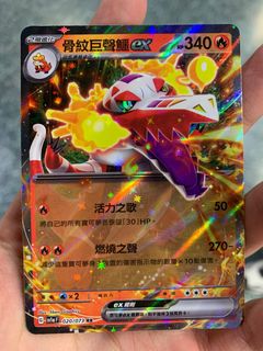 （分類：）位於 。 由 mh_yau 提交（商品編號 1225273122，圖片 1）。簡介： 。
