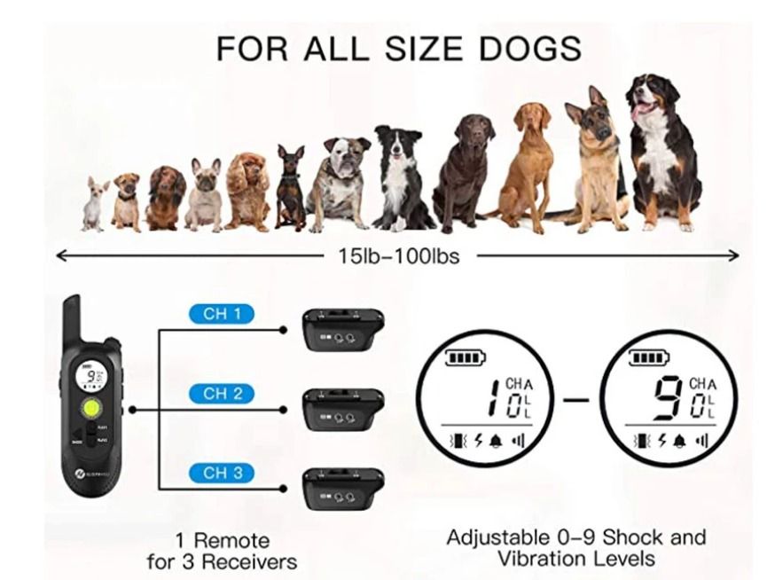 Electric top dog collar