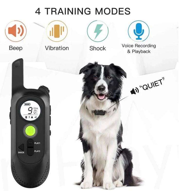 Electric dog collar with remote discount