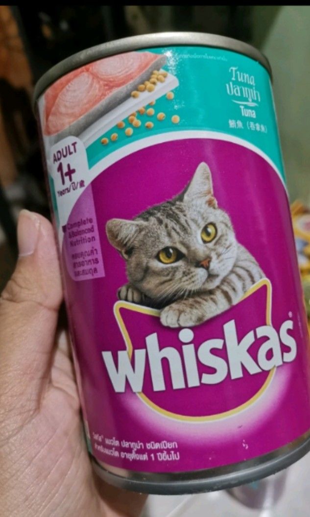 WHISKAS TUNA CANNED 400GRAMS on Carousell