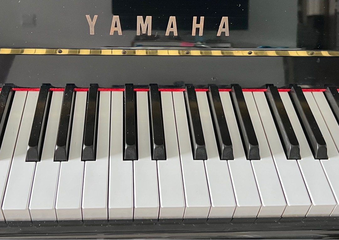 Yamaha LX-110 TPE, Hobbies & Toys, Music & Media, Musical Instruments ...