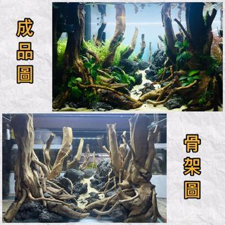 全套魚缸連景訂製🌱✨