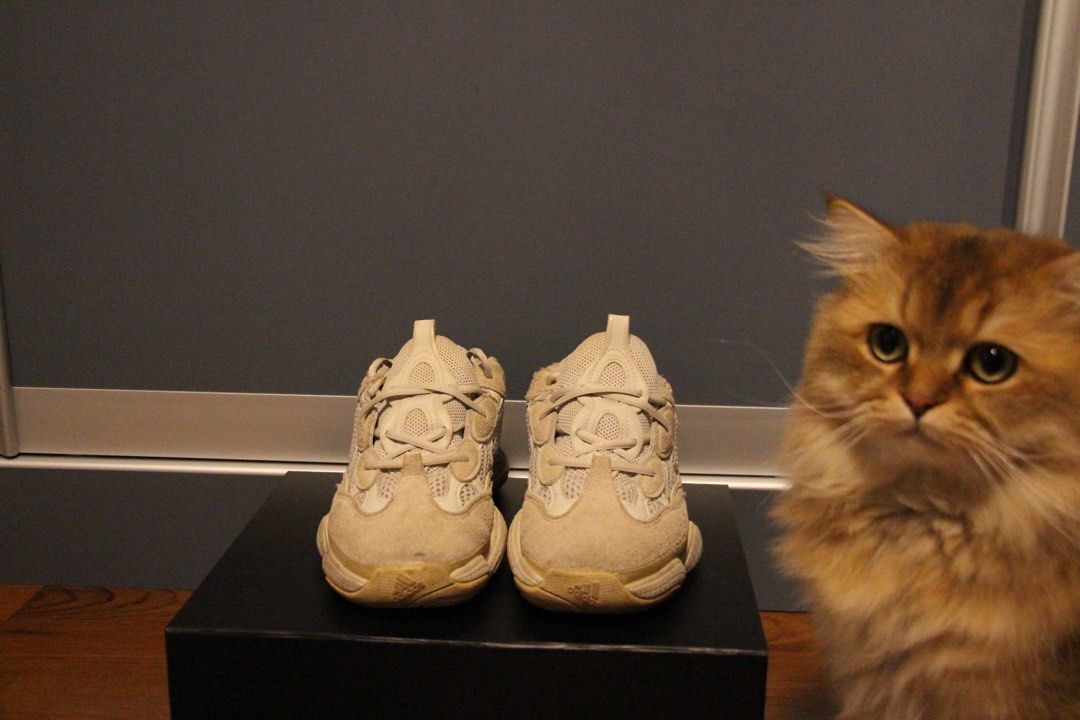Yeezy 500 hot sale super fake