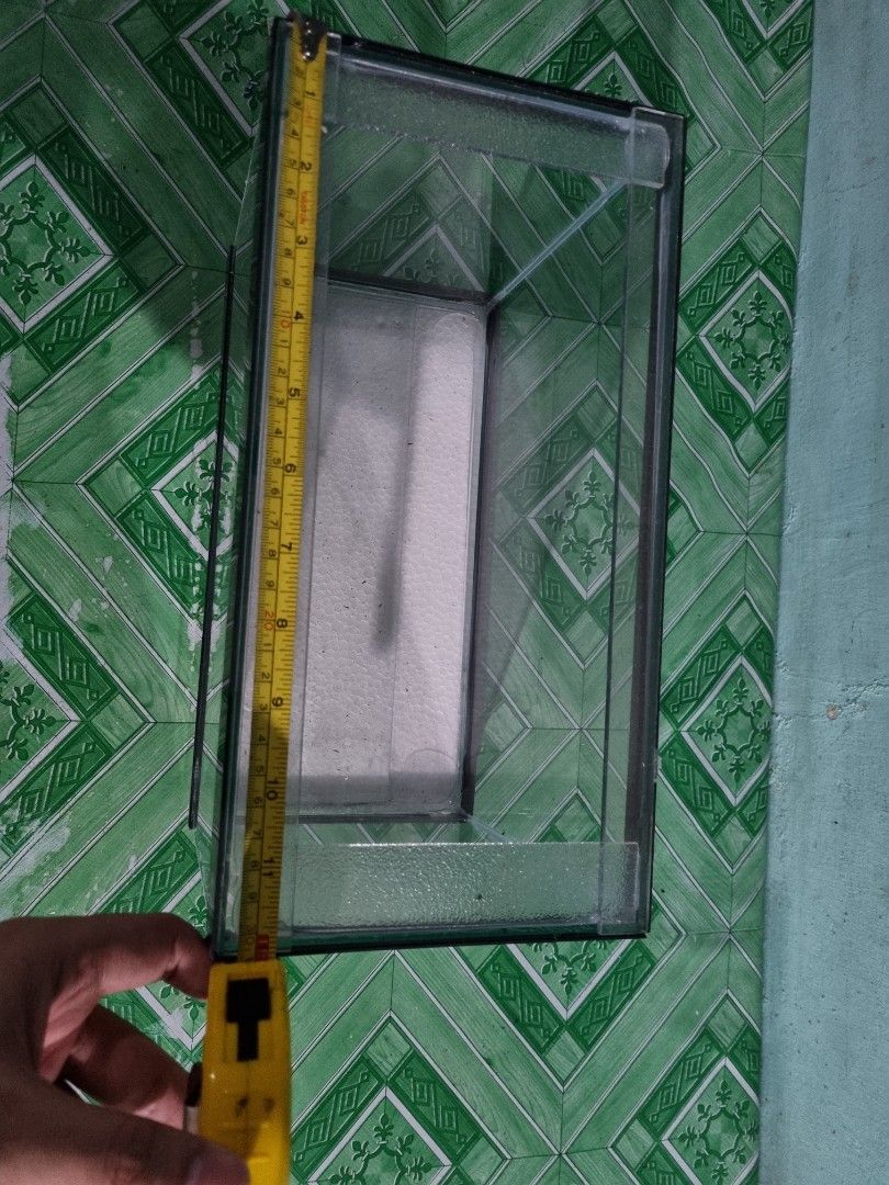 Aquarium - 2.5 Gallons (Category: Homes & Other Pet Accessories) located in Quezon City. Submitted by justindahan (Listing ID 1225430310, Image 2). Description: Aquarium - 2.5 Gallons LWH = 12x6x9 inches *located at Congressional Ave QC, near Global Gas station *MoP: BDO,BPI,Gcash,Maya *shipping is buyer's expense via Lalamove/Grab *color depends on availability (Black, Blue, Red).