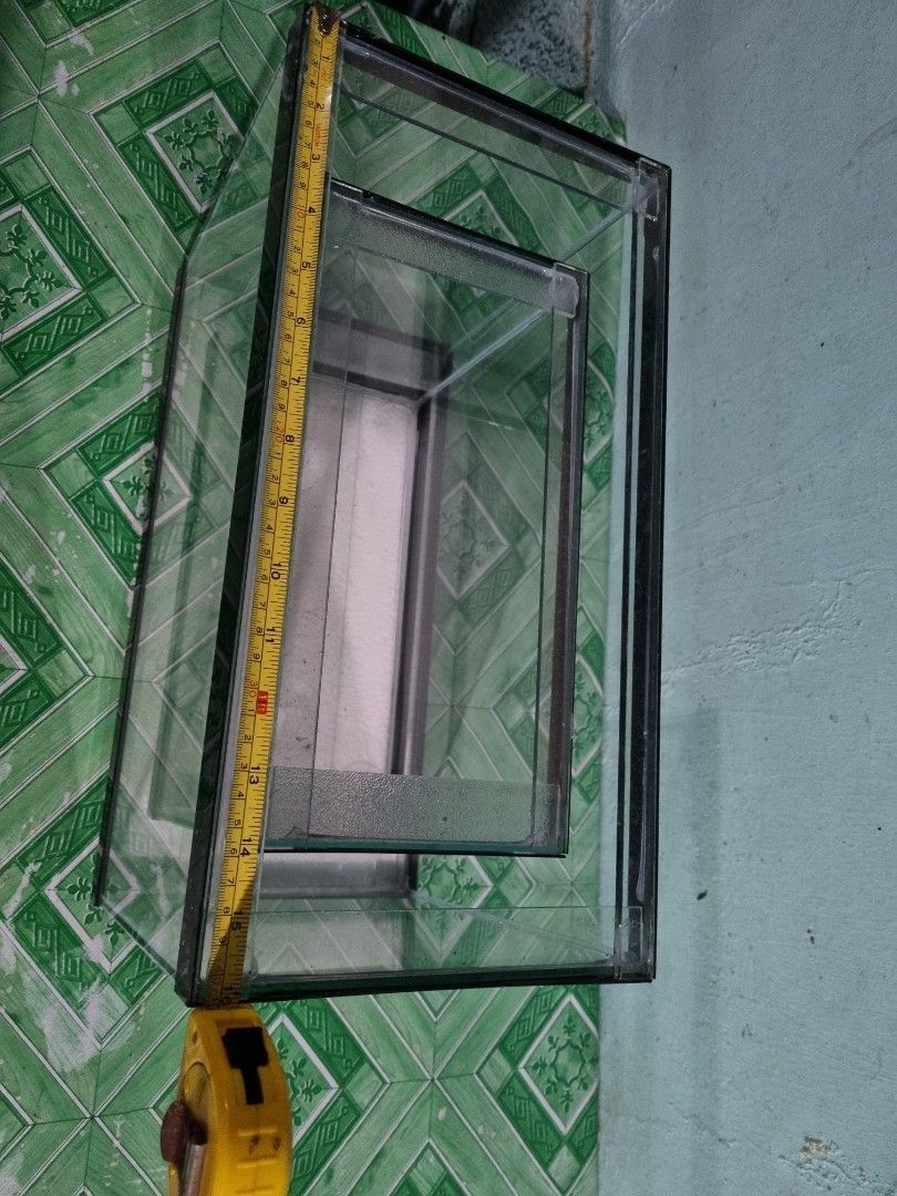 Aquarium - 5 Gallons (Category: Homes & Other Pet Accessories) located in Quezon City. Submitted by justindahan (Listing ID 1225429927, Image 1). Description: Aquarium - 5 Gallons LWH = 16x8x11 inches *located at Congressional Ave QC, near Global Gas station *MoP: BDO,BPI,Gcash,Maya *shipping is buyer's expense via Lalamove/Grab *color depends on availability (Black, Blue, Red).