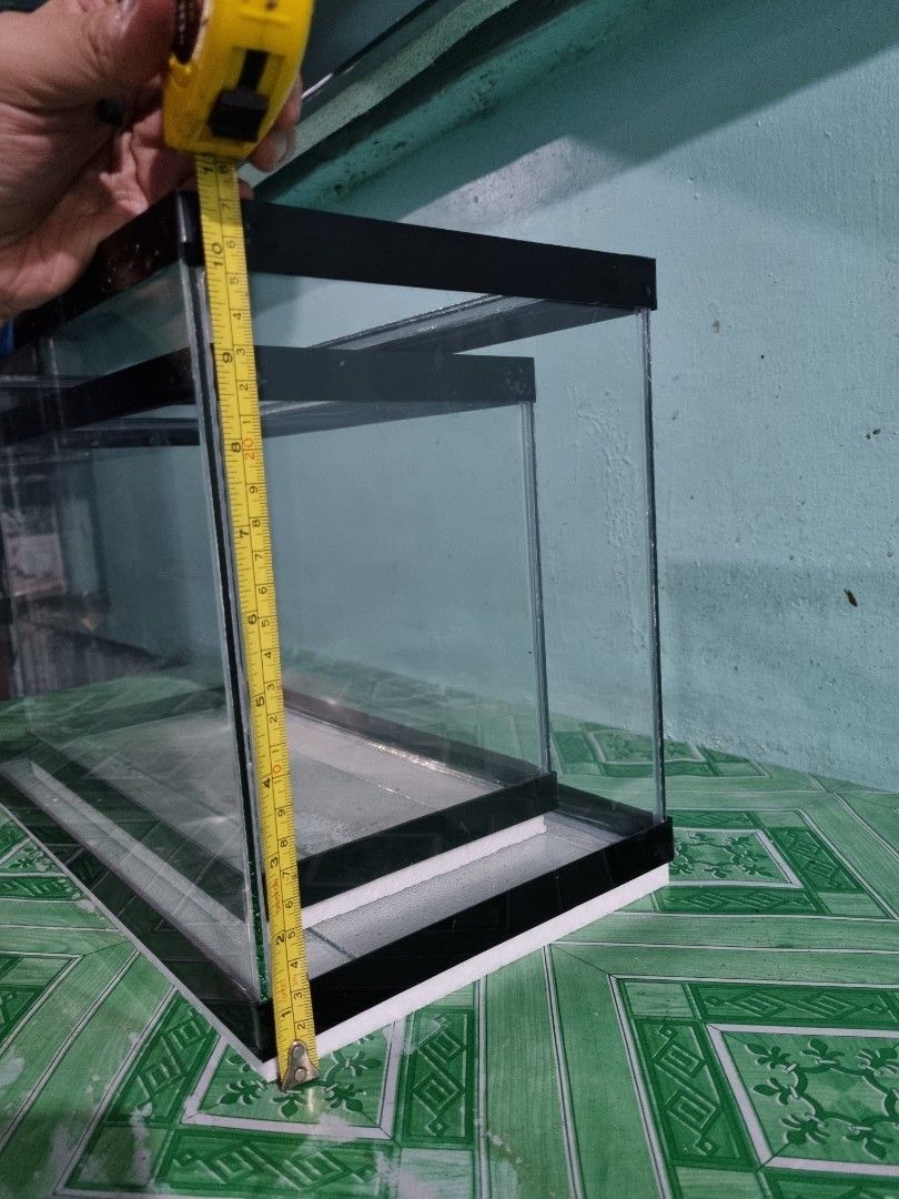 Aquarium - 5 Gallons (Category: Homes & Other Pet Accessories) located in Quezon City. Submitted by justindahan (Listing ID 1225429927, Image 3). Description: Aquarium - 5 Gallons LWH = 16x8x11 inches *located at Congressional Ave QC, near Global Gas station *MoP: BDO,BPI,Gcash,Maya *shipping is buyer's expense via Lalamove/Grab *color depends on availability (Black, Blue, Red).
