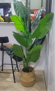 (Category: ) located in . Submitted by sufarai (Listing ID 1225422278, Image 1). Description: .