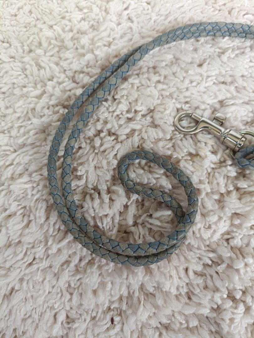 Authentic Bottega veneta neckstrap (Category: Luxury Accessories) located in Bustos. Submitted by theprelovedshopbulacan (Listing ID 1225309393, Image 2). Description: auuthentic.