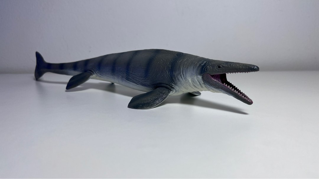 Mosasaurus collecta clearance