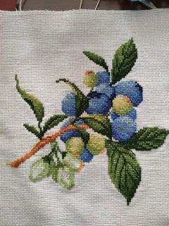 (Category: ) located in . Submitted by ss_xstitch (Listing ID 1225460712, Image 1). Description: .