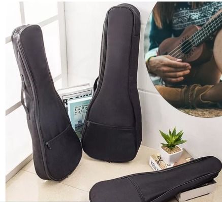 Ukulele case concert size store