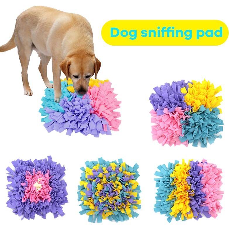 Nose work training supplies discount