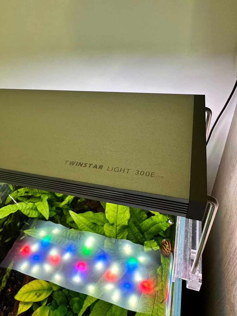 Fish tank, lights, co2 tank w solenoid, fishes, Pet Supplies, Homes