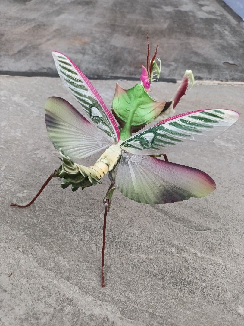 Gashapon Premium Bandai - Devil's Flower Mantis, Hobbies & Toys